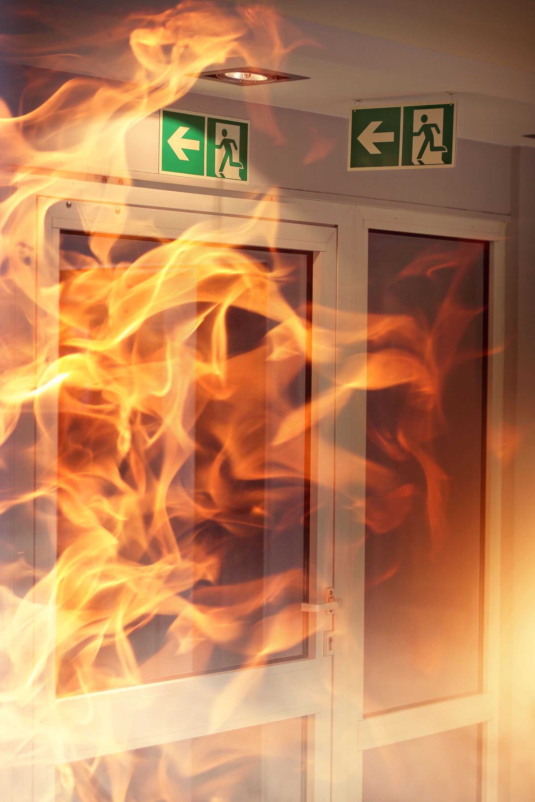 Master Security SEC 100 Int.