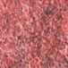 XNL15 tulipe rouge