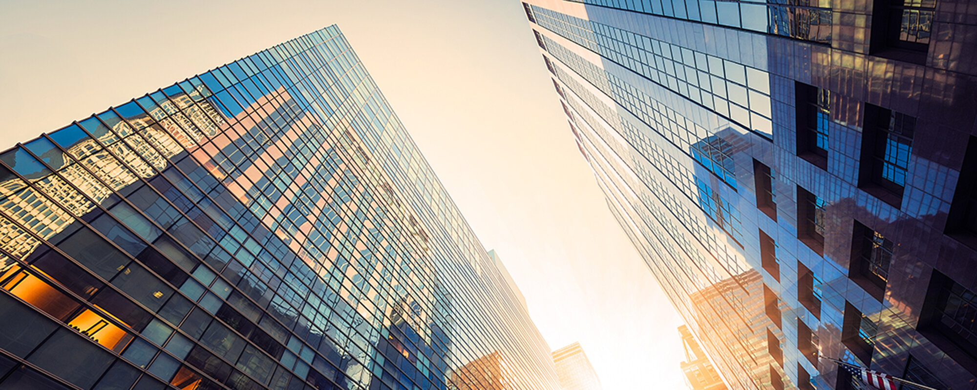 Master Solar UV Clear