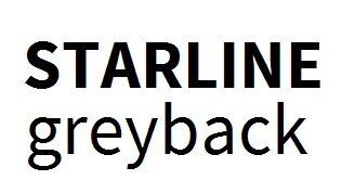 Afgeprijsd - Starline Greyback (GD2) 250g/m² 510 x 720 mm SG 340 µ