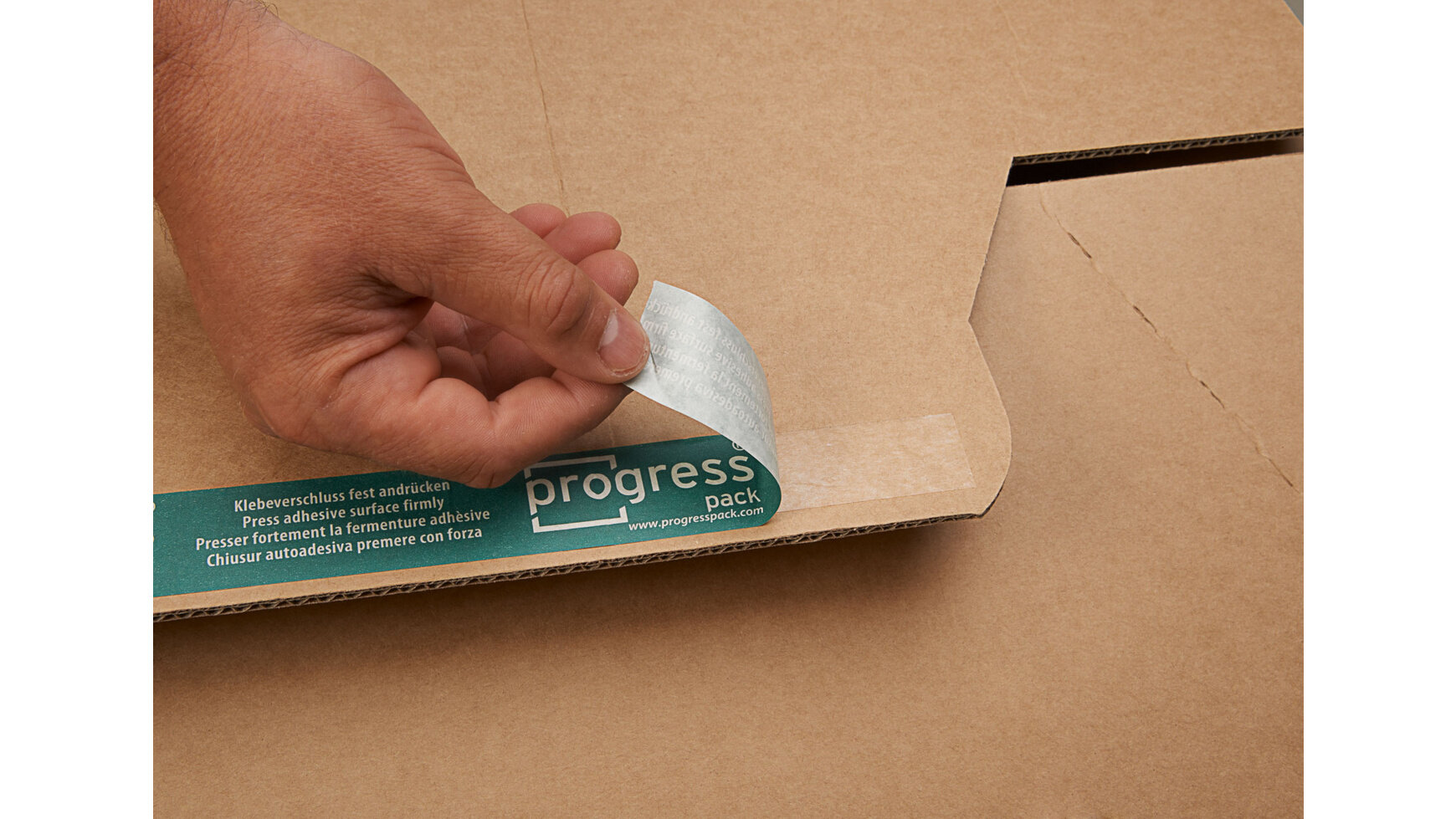 Progress Cargo-box enkele golf