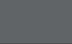 gris anthracite