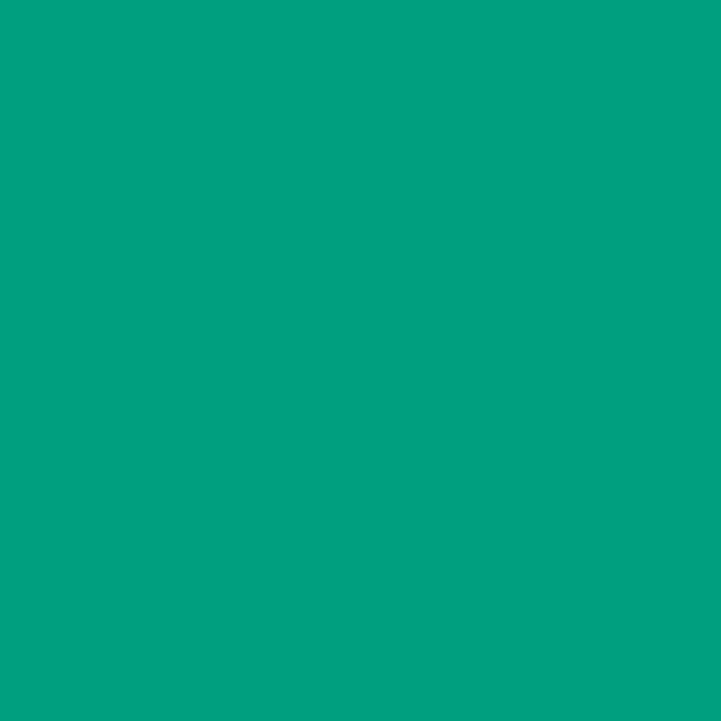 Afgeprijsd - Clairefontaine vellen intensief dennengroen 3049 80g/m² 610 x 880 mm SG