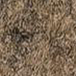 XNL12 brun argile