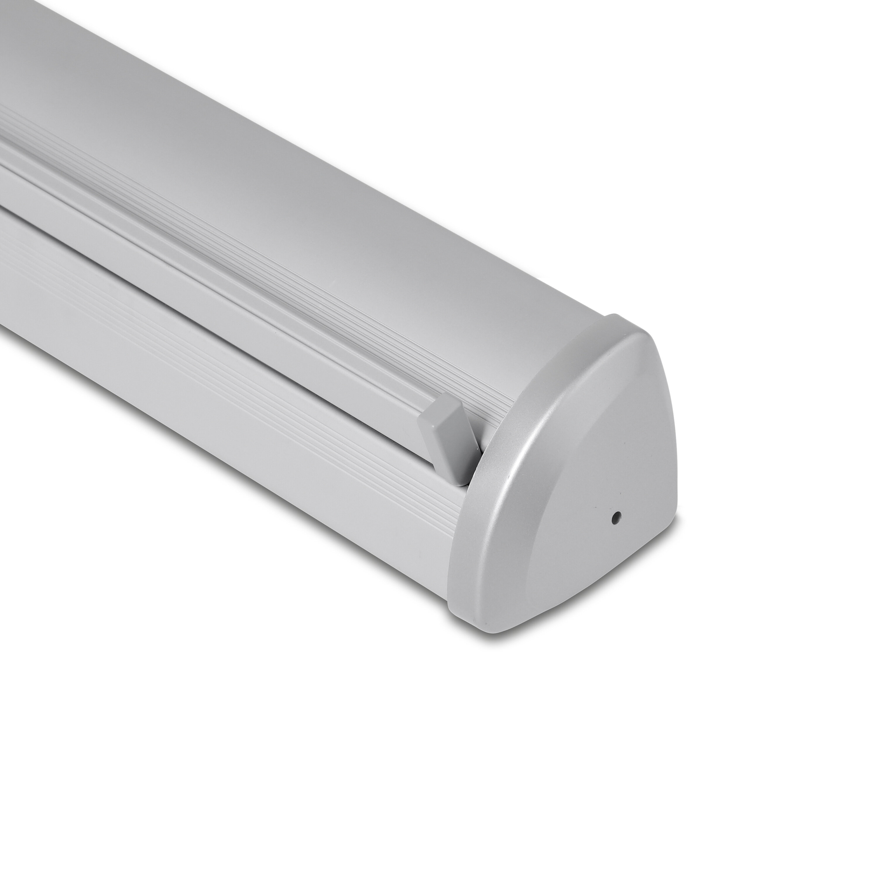 Roll-Up New Standard SP