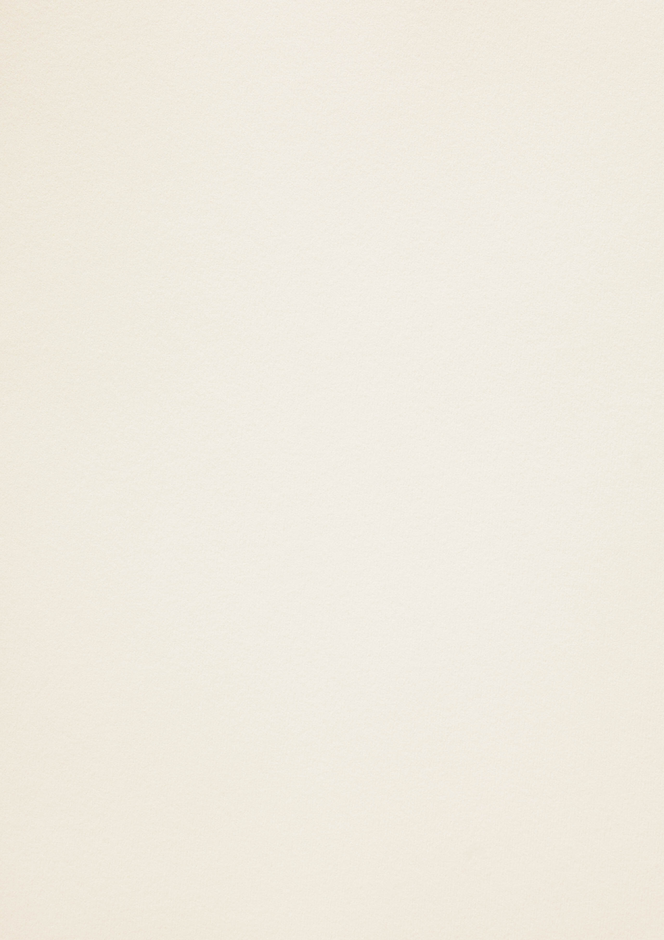 Afgeprijsd - Basix viltmarkering roomwit 170g/m² 700 x 1000 mm LG