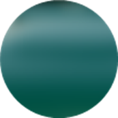 PPF Flexishield Cosmetic