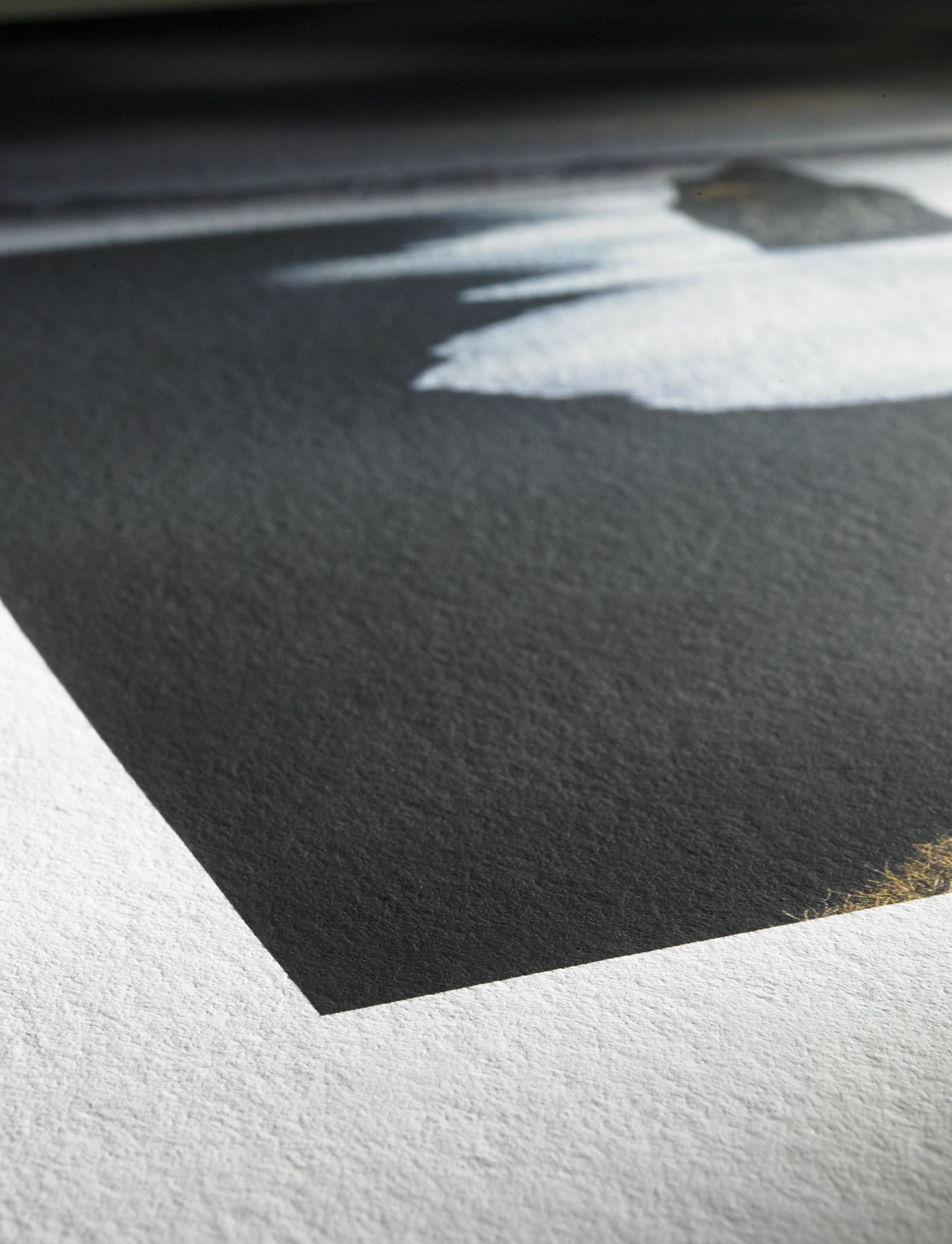 Hahnemühle photo rag bright white 310g/m² 1118 mm x 12 m 