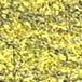 XNL16  jaune printanier