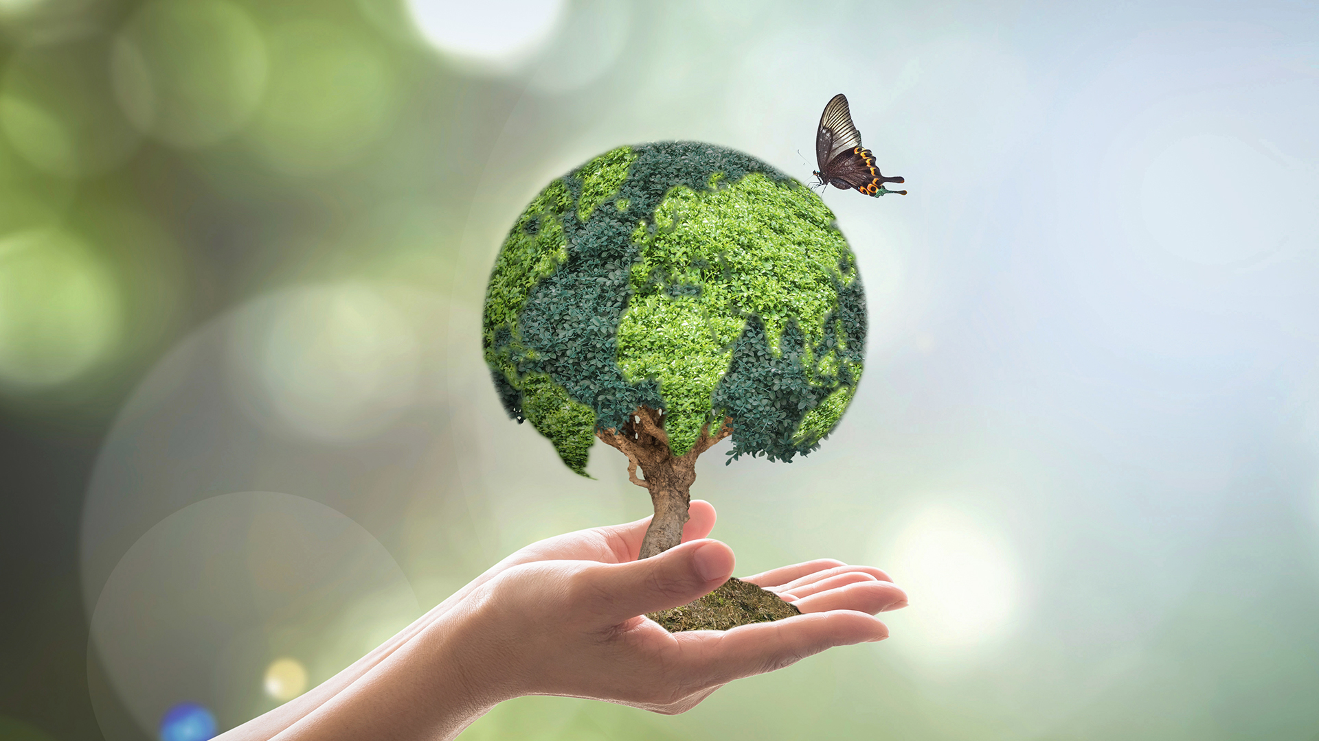 People planet profit mvo duurzaamheid