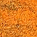 XNL17 roi orange