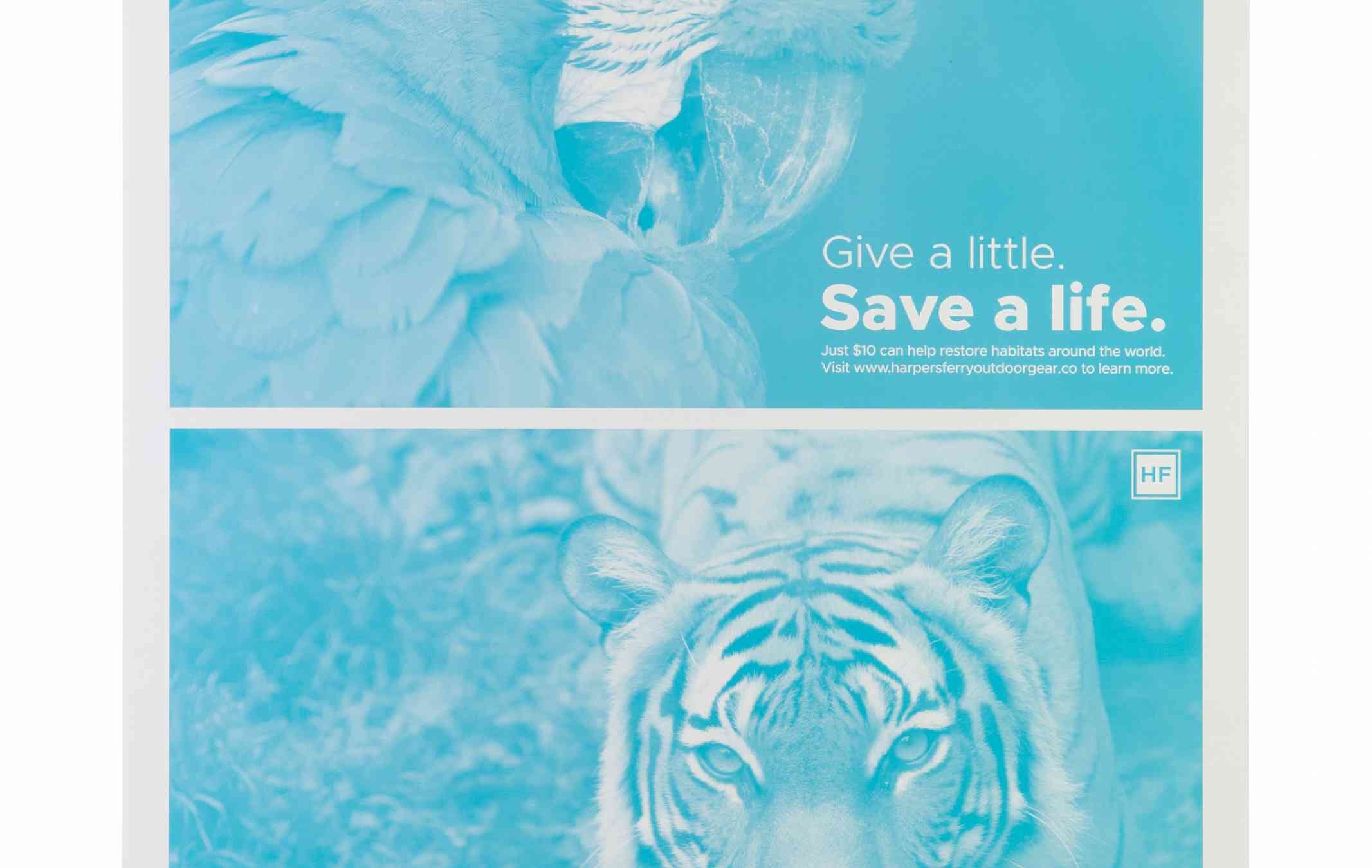 Kodak Trillian SP 0,30