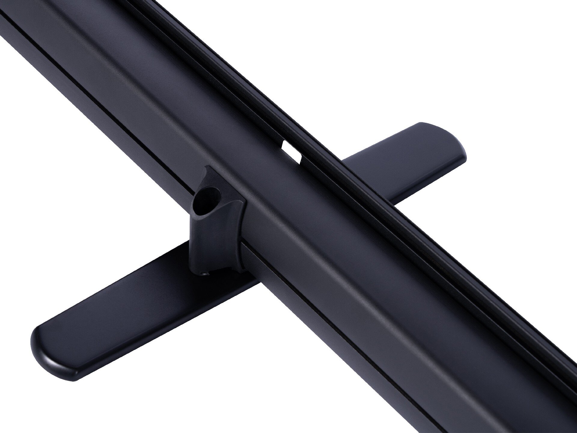 Roll-Up New Standard SP