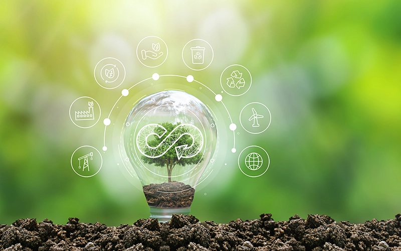 circular economy