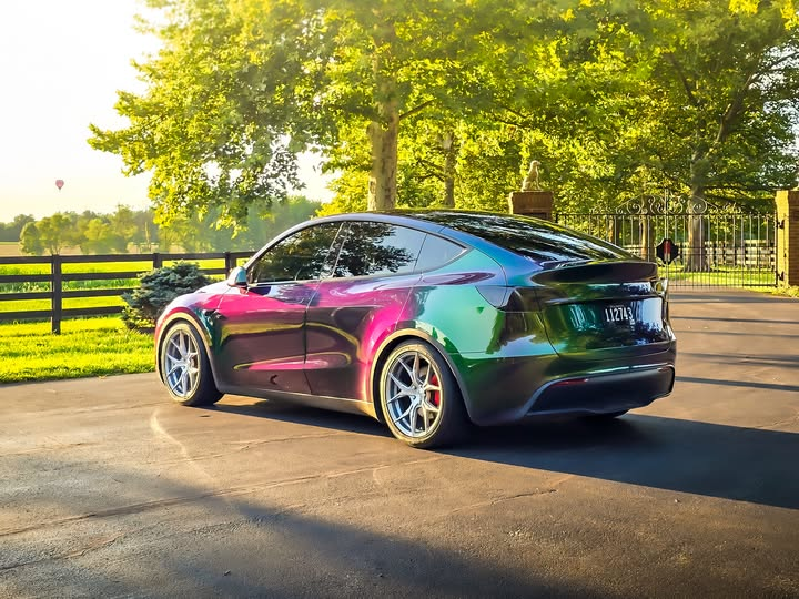 PPF Flexishield Cosmetic