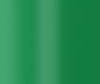 G46 gloss Kelly green