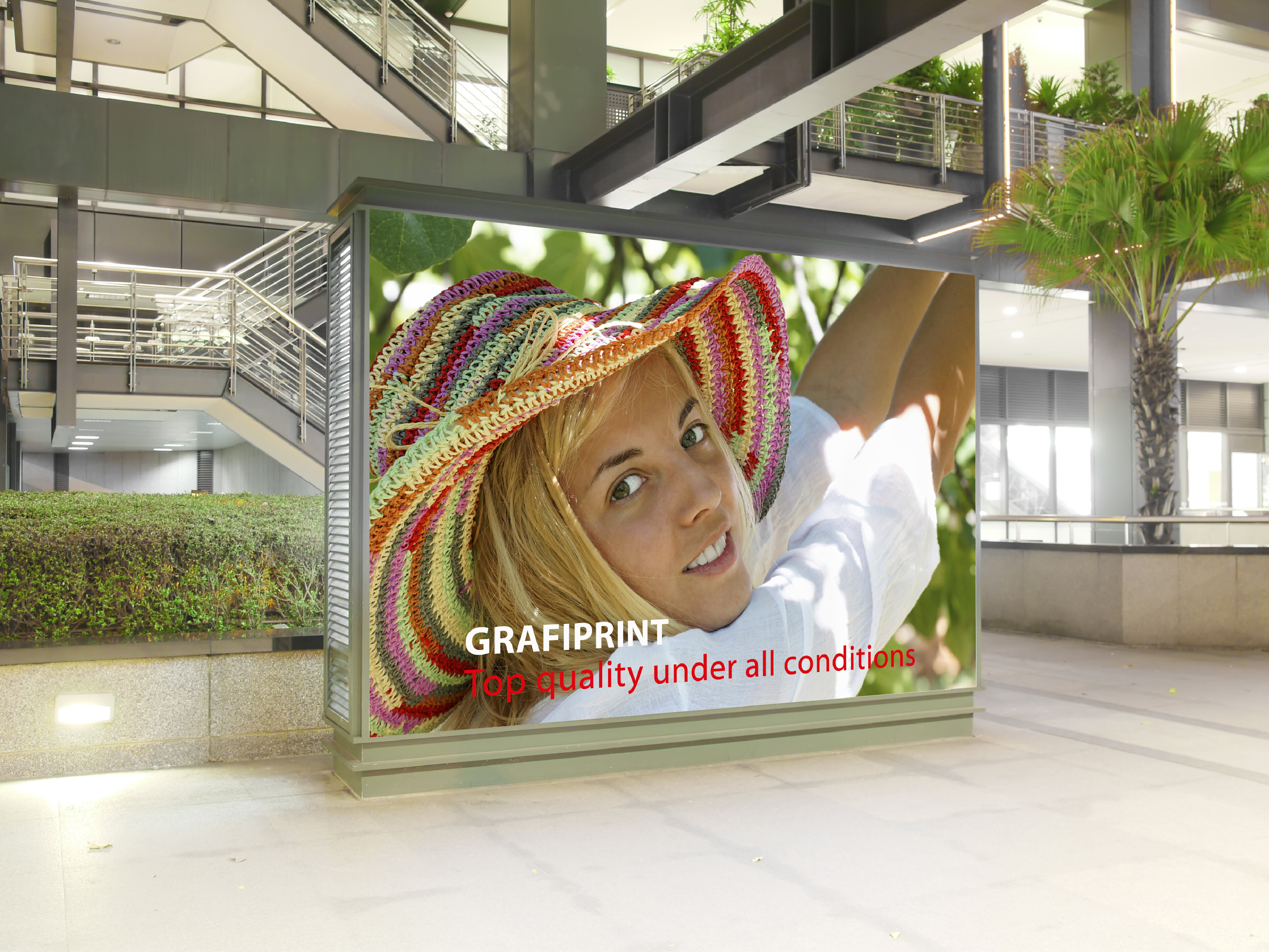 Grafiprint 100 Removable