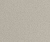 Gris 7011