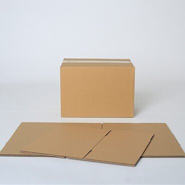 Amerikaanse dozen enkele golf - recycled