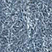 XNL 6 bleu eau