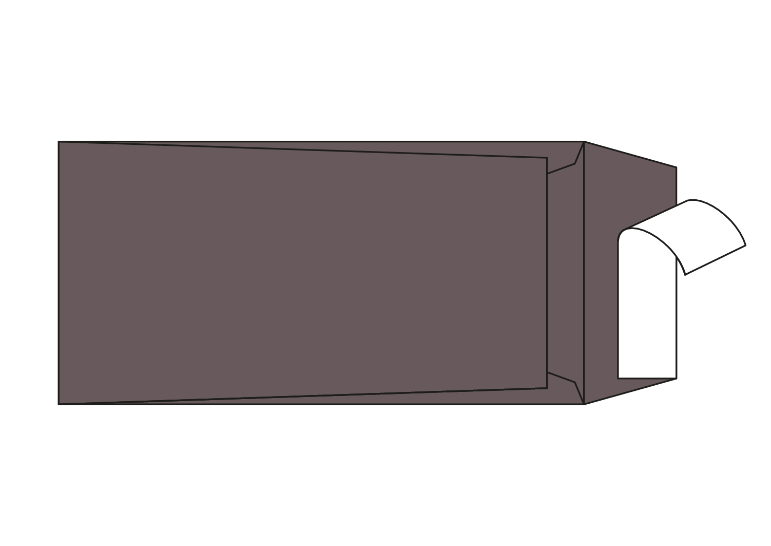 Afgeprijsd - Zakenveloppen The Tube marrone 120g/m² 110 x 220 mm strip