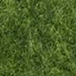 vert olive
