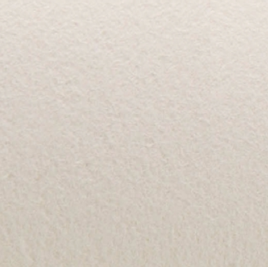 Bagasse
